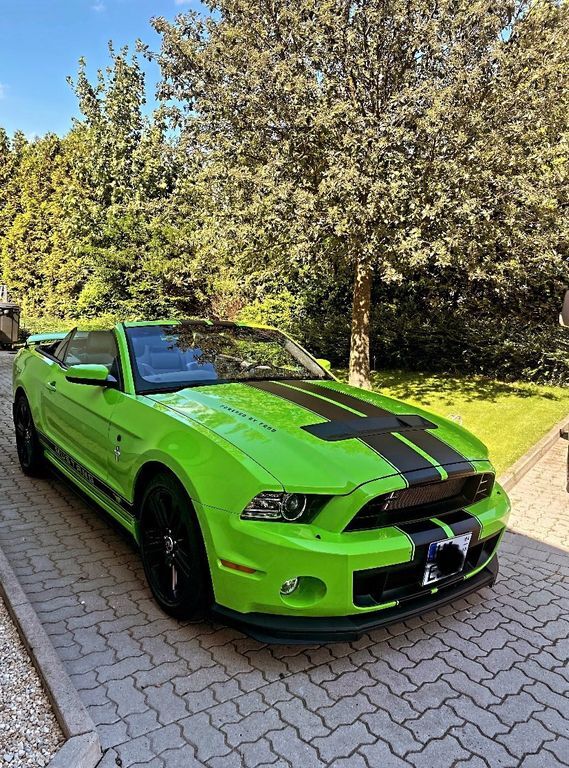 Mustang