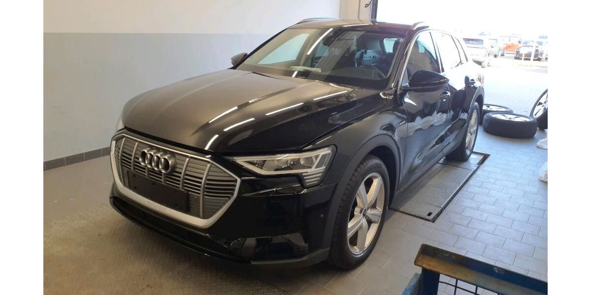 Audi e-tron 50.400 km 33.900 &euro; Salzgitter 38259