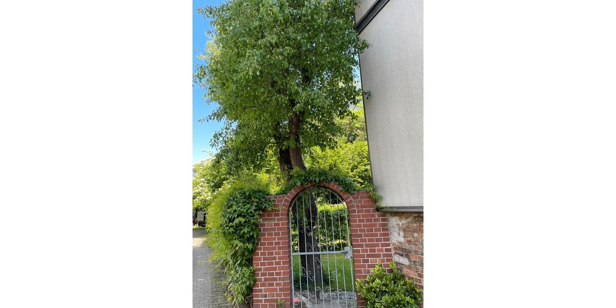 Mehrfamilienhaus, Wohnhaus Schellerten - 12 Zimmer, 240 m&sup2;, 420.000&euro; | Angebot:26757761
