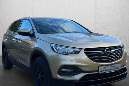 Opel Grandland (X) 104.500 km 11.590 € Seesen/Rhüden 38723