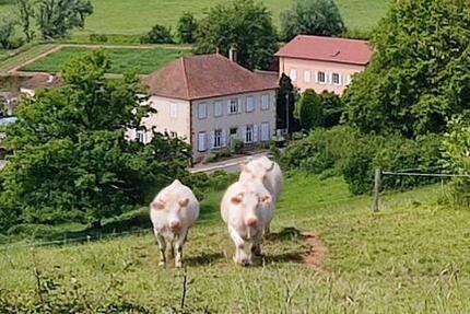 Haus Goslar Jürgenohl - 14 Zimmer, 350 m&sup2;, 575.000&euro; | Angebot:26649268