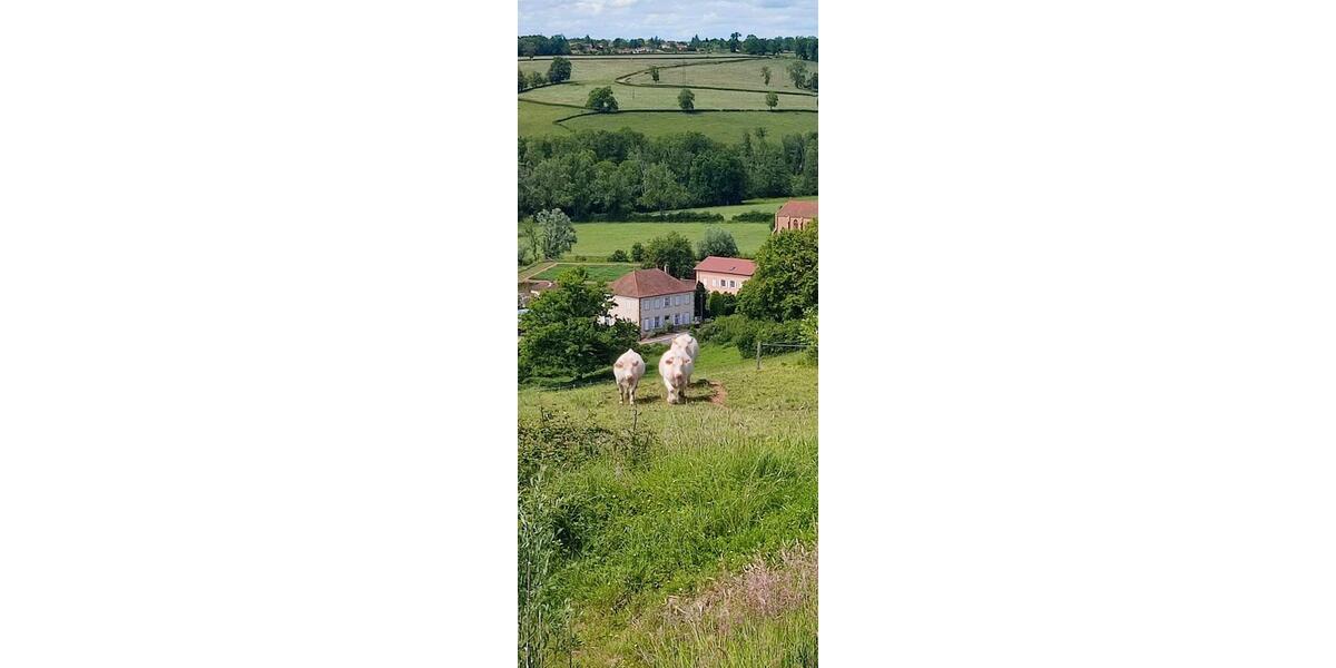 Mehrfamilienhaus, Wohnhaus Goslar Jürgenohl - 14 Zimmer, 350 m&sup2;, 575.000&euro; | Angebot:26649268