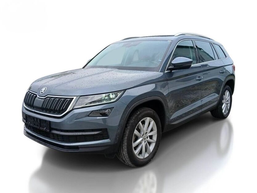 Skoda Kodiaq 115.000 km 23.990 € Goslar 38640