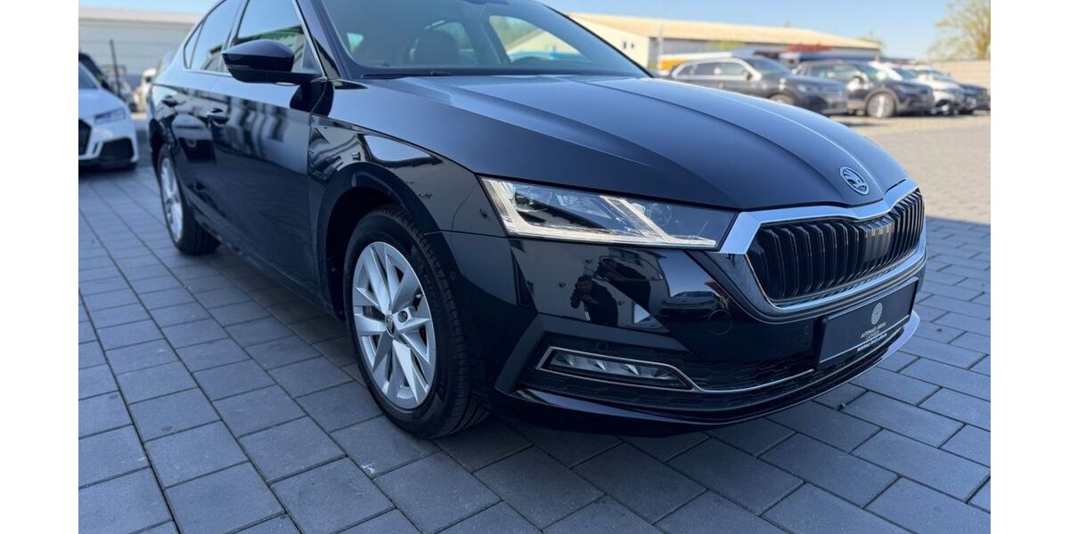 Skoda Octavia 30.000 km 24.490 &euro; Ilsede 31246