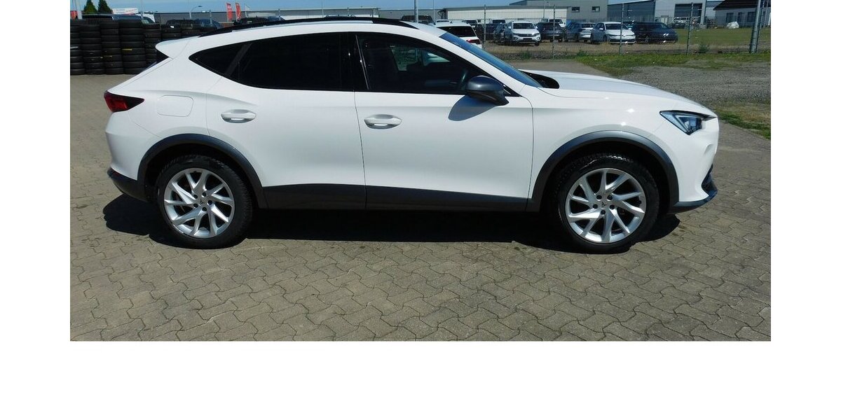Cupra Formentor 1.5 TSI BMT Klima LED Alu Navi 29.900 km 21.990 &euro; Vordorf 38533