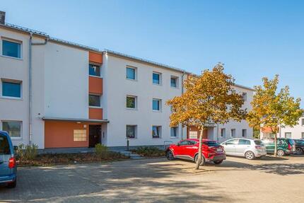Wohnung Braunschweig Lehndorf-Watenbüttel - 2 Zimmer, 64 m&sup2;, 651&euro; | Angebot:26676414