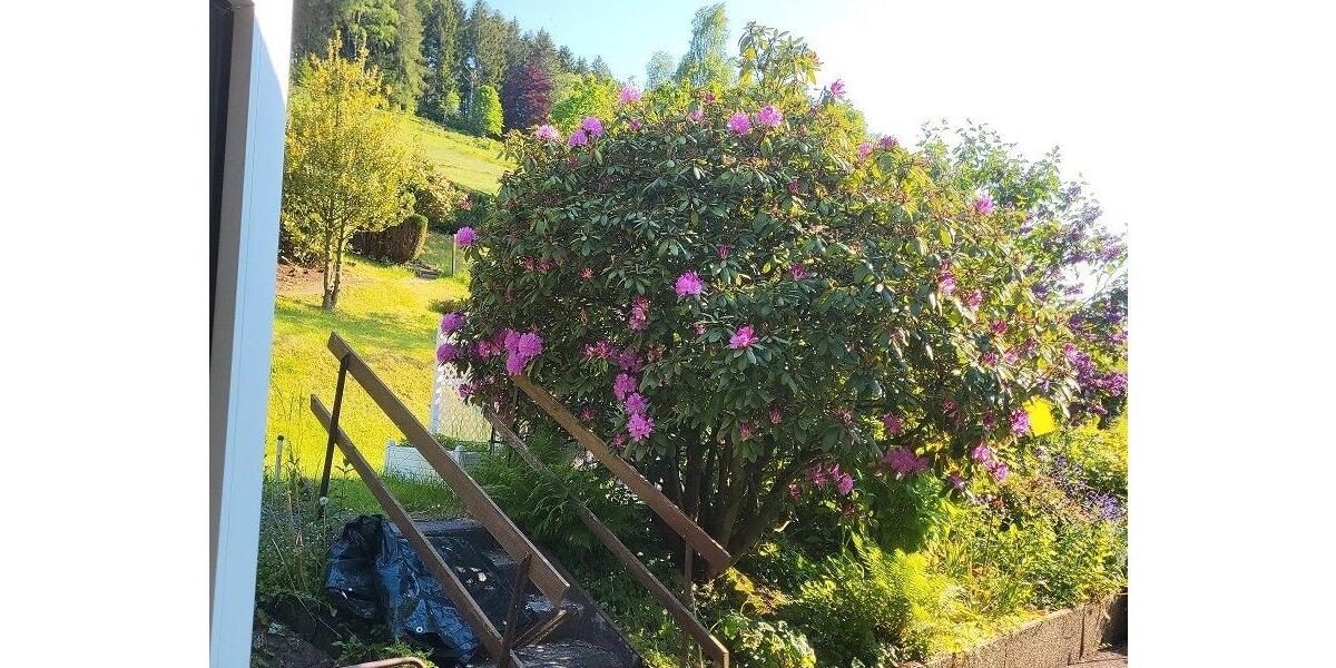 Einfamilienhaus Langelsheim - 7 Zimmer, 274 m&sup2;, 165.000&euro; | Angebot:26292952