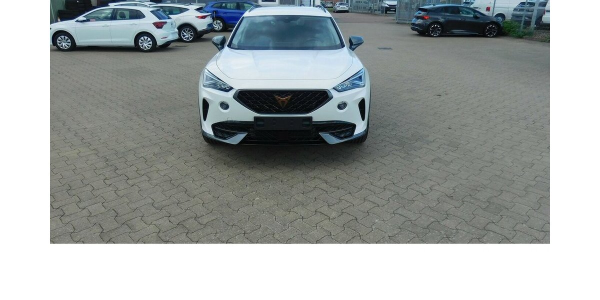 Cupra Formentor 1.5 TSI BMT Klima LED Alu Navi 27.400 km 23.990 € Vordorf 38533
