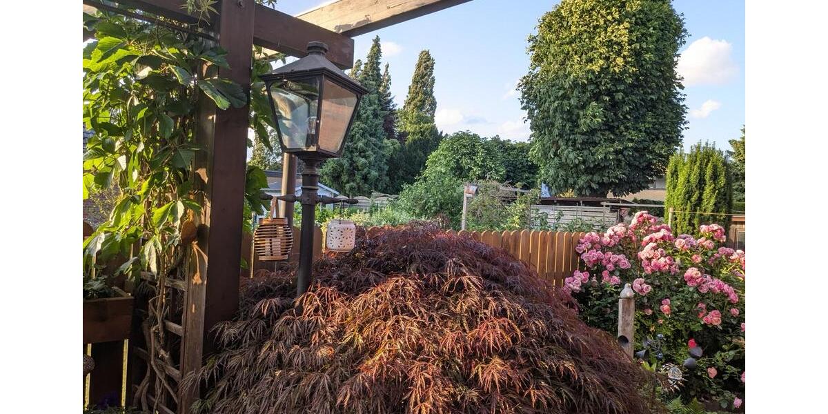 Doppelhaushälfte Braunschweig Timmerlah-Geitelde-Stiddien - 9 Zimmer, 185 m&sup2;, 329.000&euro; | Angebot:23013804