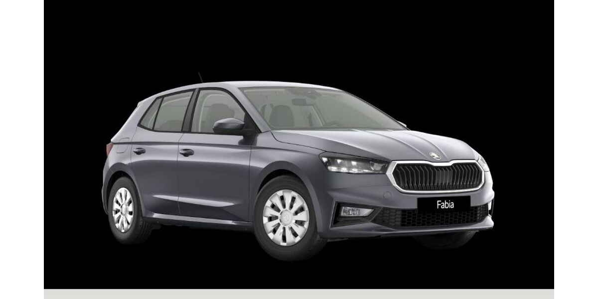 Skoda Fabia 19.580 km 20.165 &euro; Goslar 38644