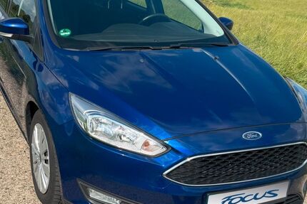 Ford Focus 223.300 km 4.900 € Hildesheim 31139