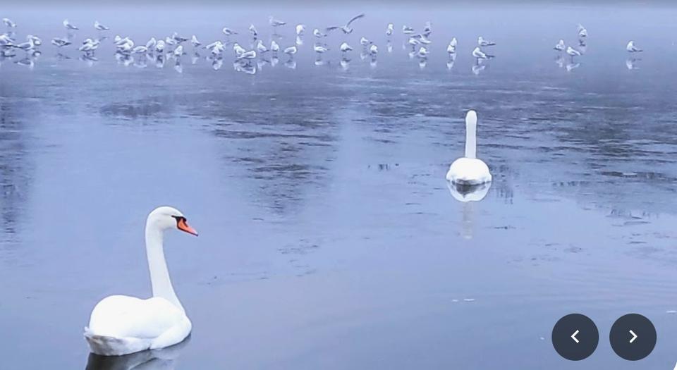 Erdgeschoßwohnung Salzgitter - 2 Zimmer, 52 m&sup2;, 68.500&euro; | Angebot:26243946