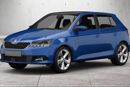 Skoda Fabia 78.556 km 13.054 € Goslar 38644
