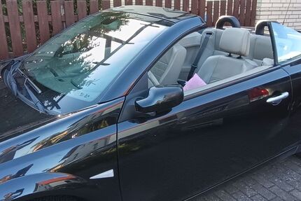 Renault Megane 248.000 km 1.950 &euro; Ilsede 31246