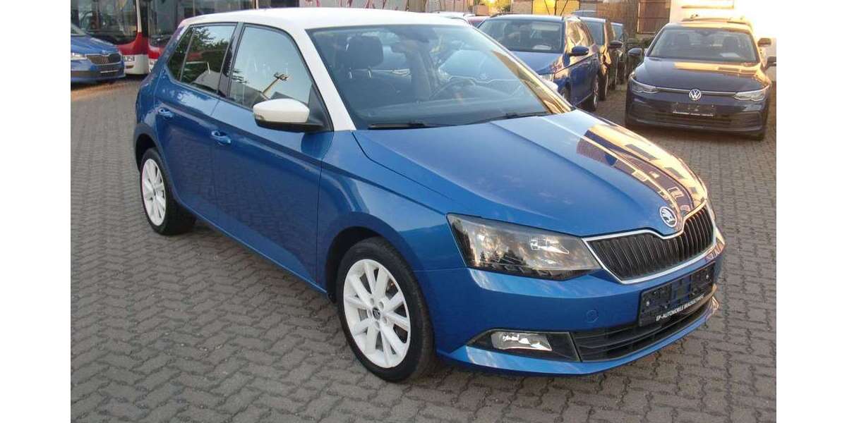 Skoda Fabia 90.000 km 7.899 € Braunschweig 38110