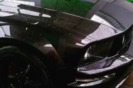 Ford Mustang 20.000 km 19.000 &euro; Holle 31188