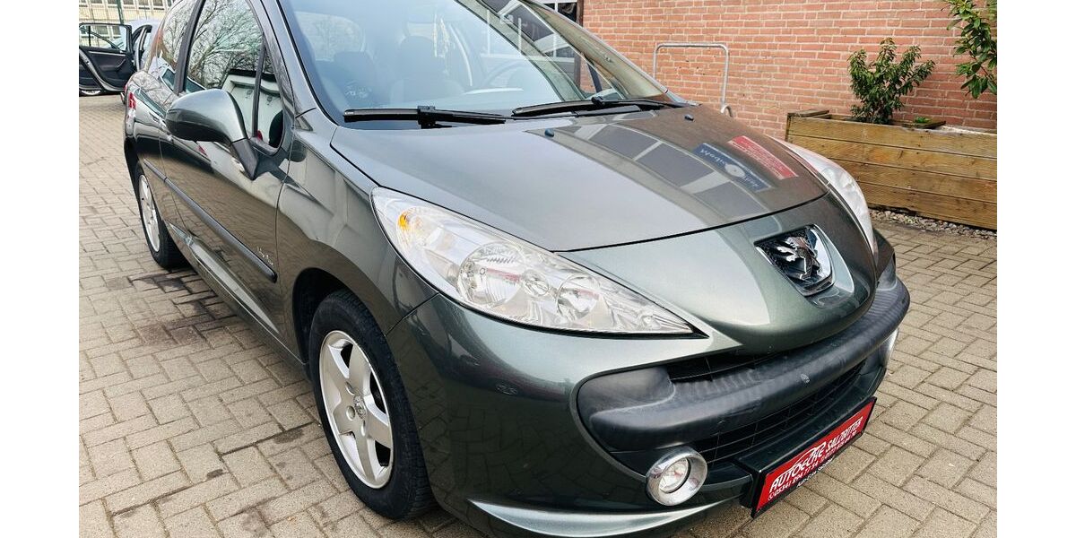 Peugeot 207 113.635 km 2.990 &euro; Salzgitter 38259