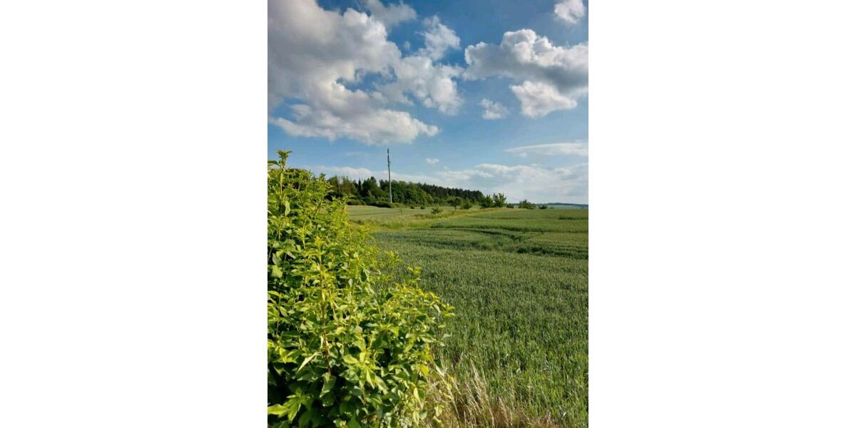 Freistehendes Einfamilienhaus in Oelber a. w. Wg. 6 zimmer