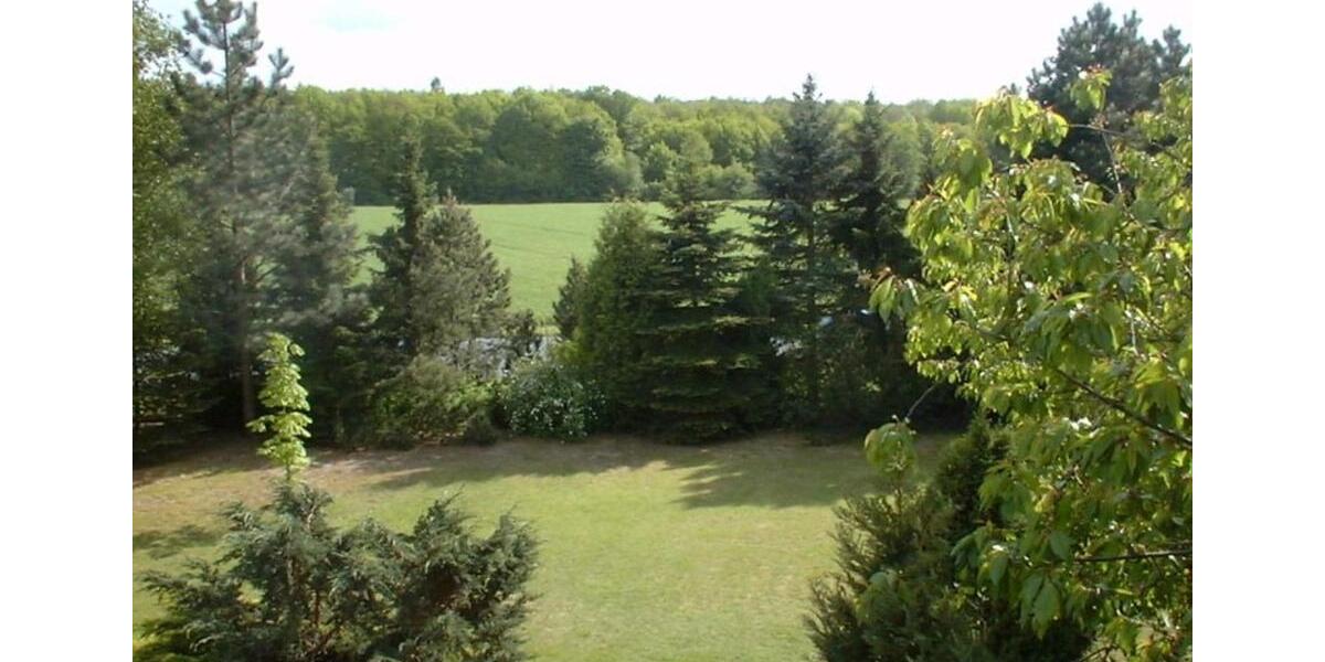 Etagenwohnung Vordorf - 2 Zimmer, 110 m&sup2;, 500&euro; | Angebot:25782504