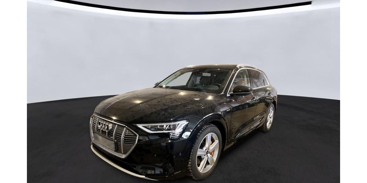 Audi e-tron 46.300 km 35.990 &euro; Braunschweig Wenden 38110