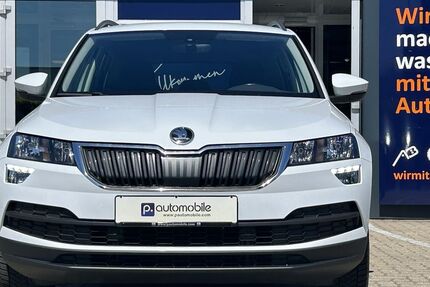 Skoda Karoq 141.000 km 16.980 &euro; Salzgitter 38229