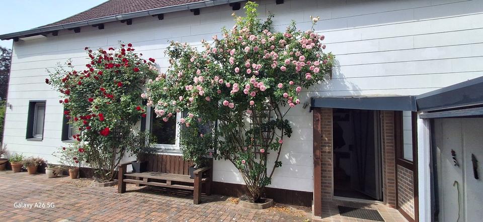 Einfamilienhaus Braunschweig Lehndorf-Watenbüttel - 5 Zimmer, 137 m&sup2;, 288.000&euro; | Angebot:26816523