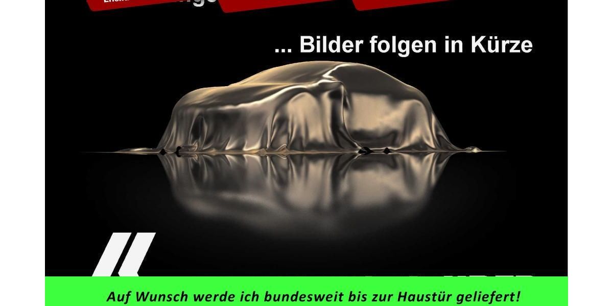 VW Beetle 120.459 km 12.690 € Peine 31228