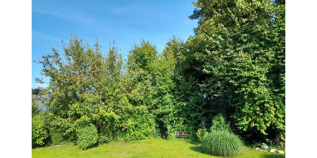 Doppelhaushälfte Meine - 6 Zimmer, 181 m&sup2;, 698.000&euro; | Angebot:26232563