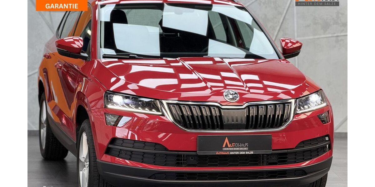 Skoda Karoq 111.202 km 18.950 &euro; Salzgitter 38259