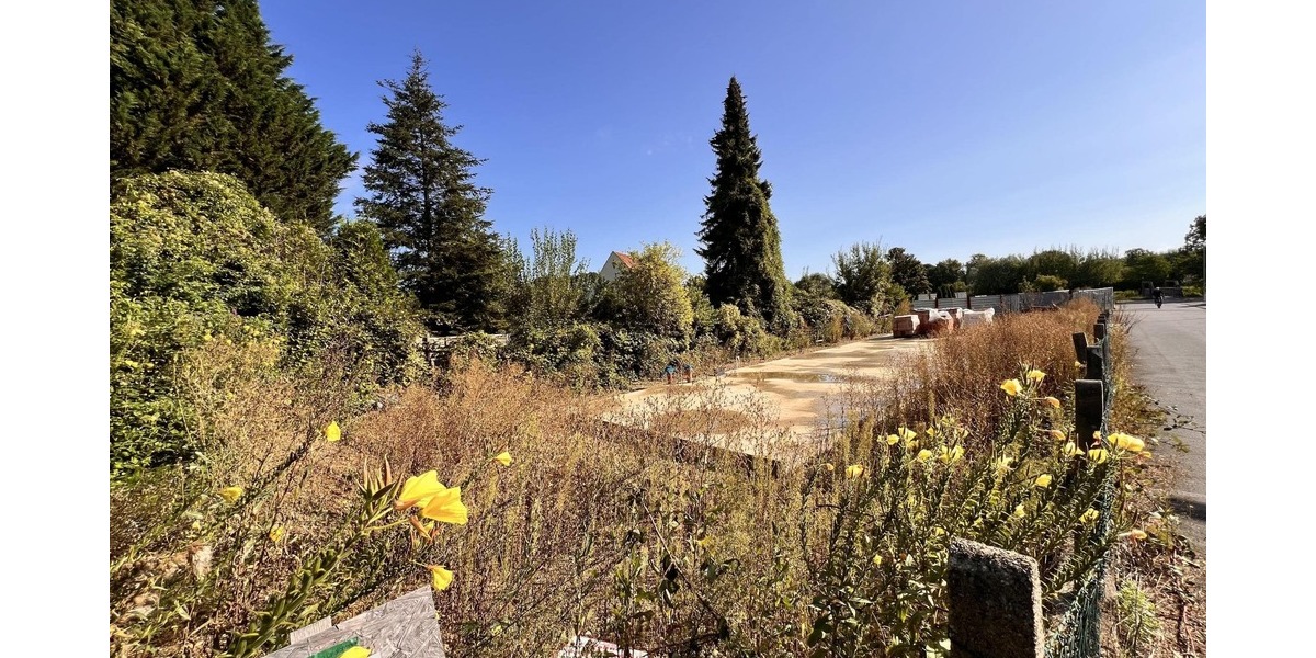 Bauträger und Häuslebauer aufgepasst! zimmer