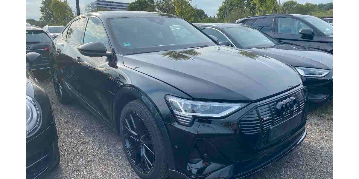 Audi e-tron 55.100 km 35.950 &euro; Salzgitter 38259