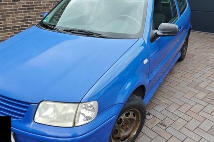 VW Polo 216.000 km 1.200 &euro; Holle 31188
