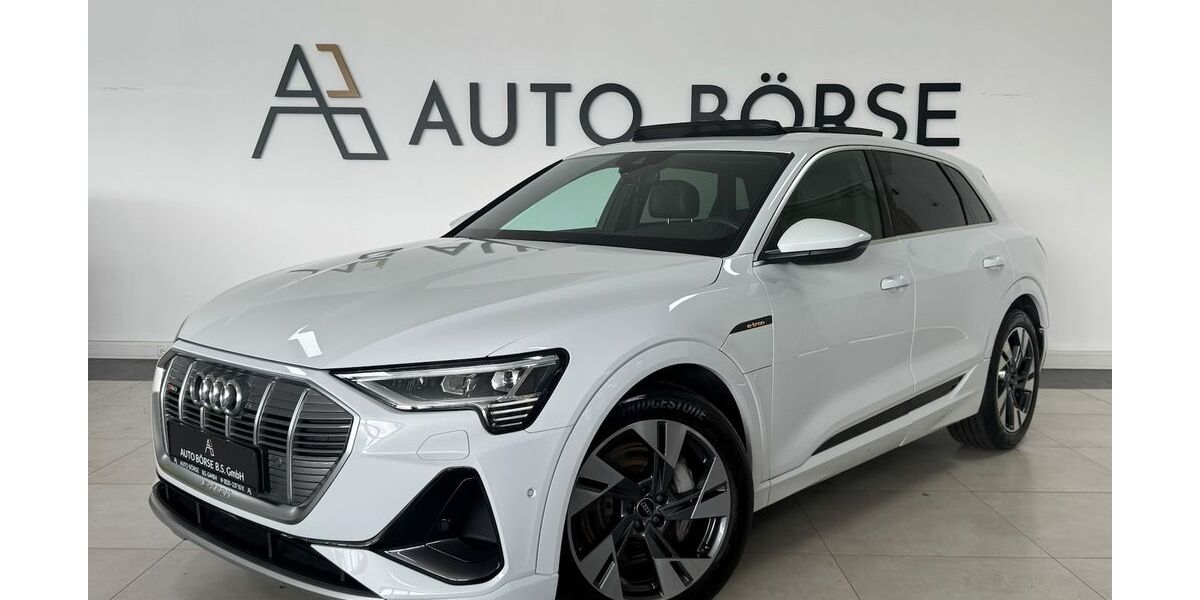 Audi e-tron 66.100 km 34.890 &euro; Braunschweig 38114