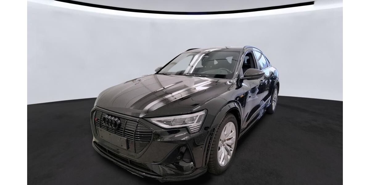 Audi e-tron 115.000 km 37.990 € Peine 31226