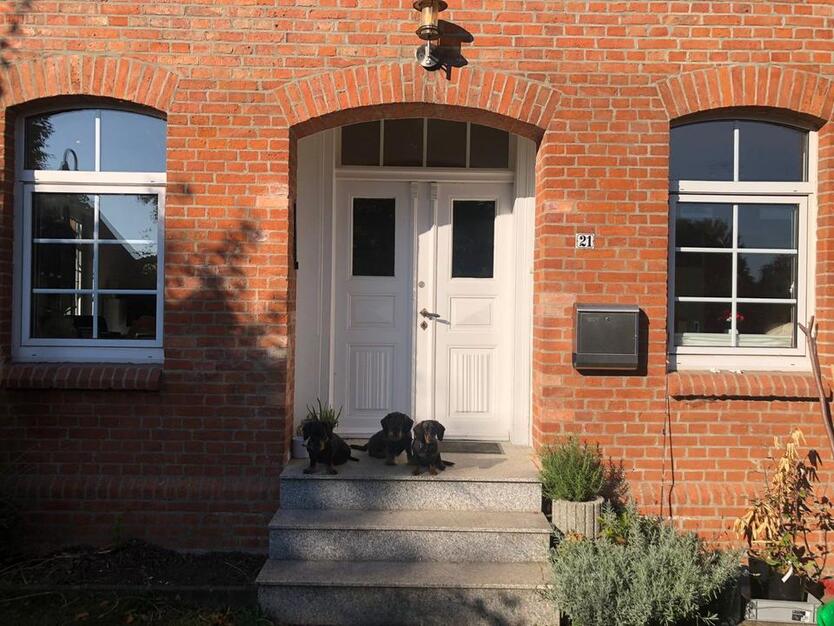 Schönes ehem. Bauernhaus mit 5 Wohnräumen in Hohenhameln - Clauen