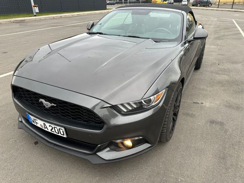 Mustang
