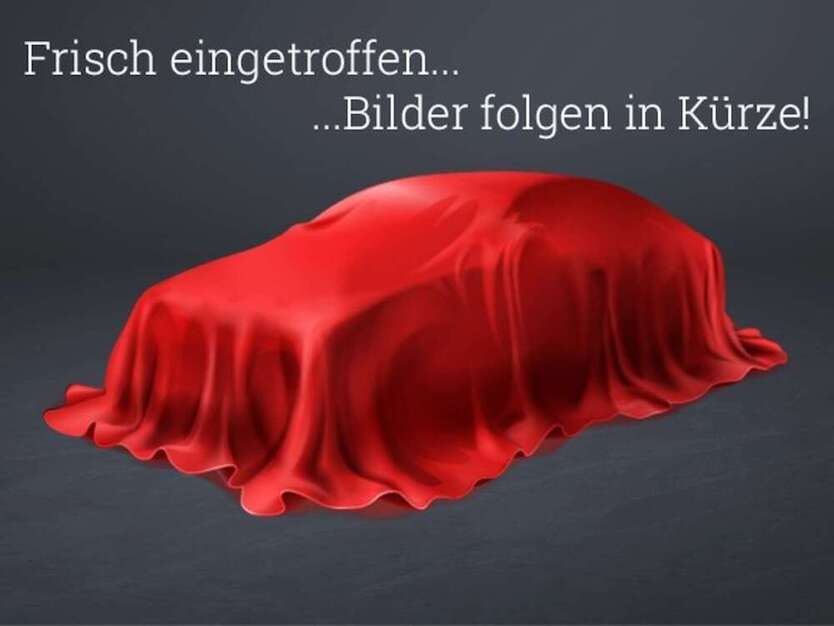 Dokker