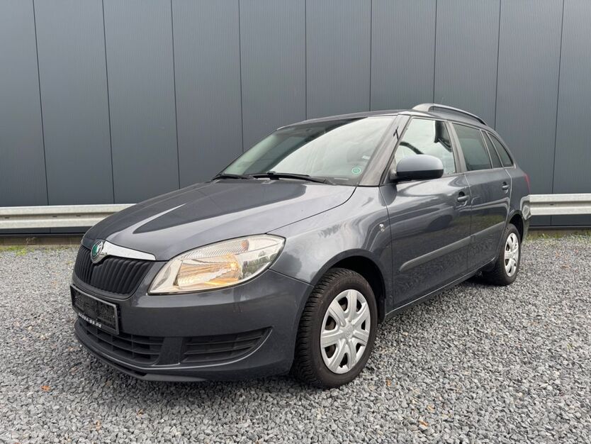 Skoda Fabia 173.300 km 2.990 € Braunschweig 38110