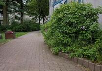 3 Zimmer Wohnung in Hellwinkel, Wolfsburg