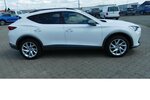 Cupra Formentor 1.5 TSI BMT Navi Klima LED Alu 10.600 km 20.990 &euro; Vordorf 38533