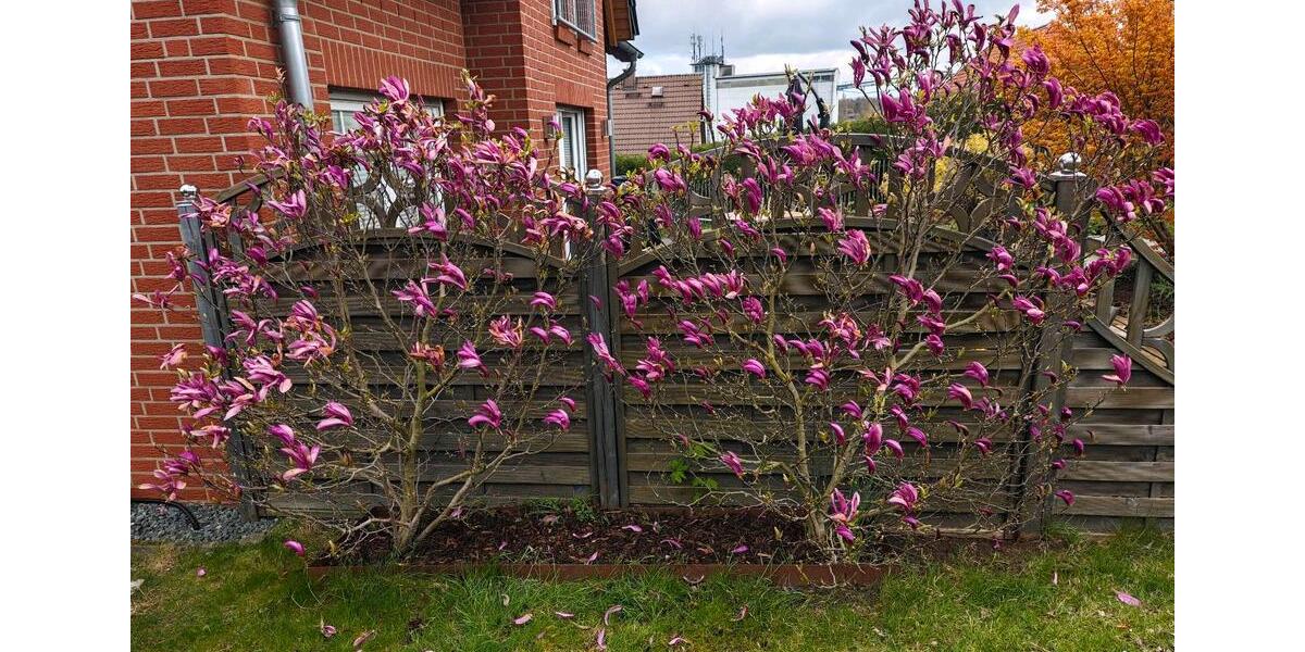 Einfamilienhaus Goslar Immenrode - 4 Zimmer, 125 m&sup2;, 380.000&euro; | Angebot:26295622