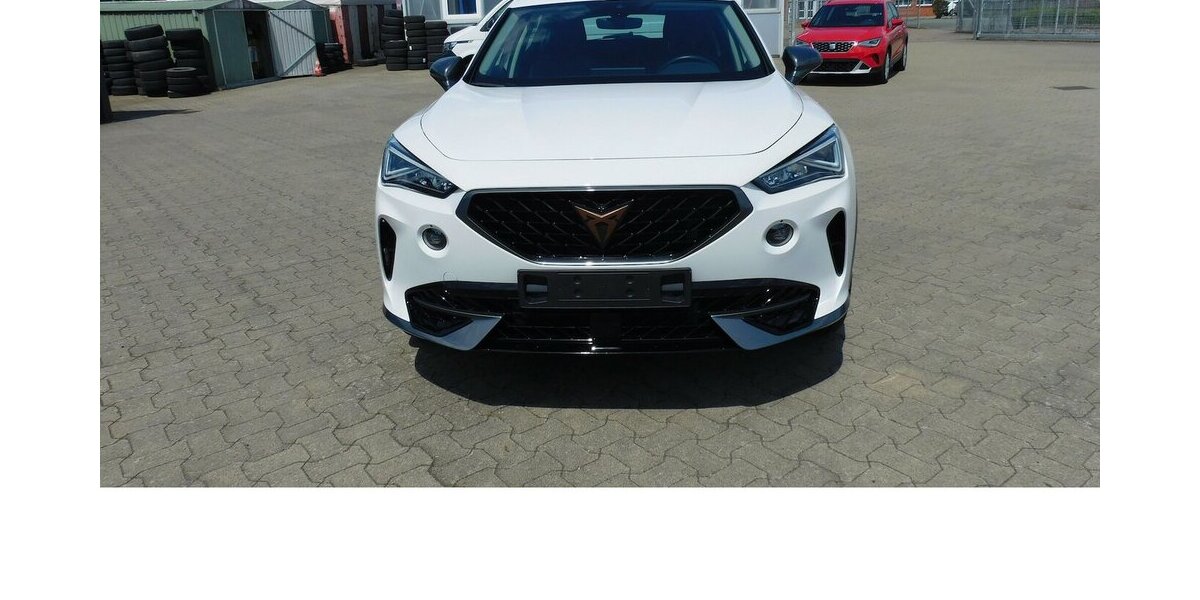 Cupra Formentor 1.5 TSI BMT Navi Klima LED Alu 10.600 km 19.990 &euro; Vordorf 38533