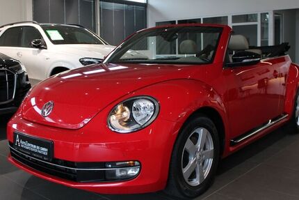 VW Beetle