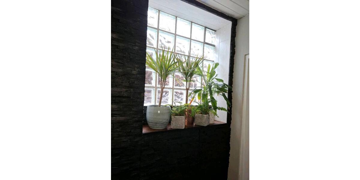 Einfamilienhaus Hildesheim - 4.5 Zimmer, 250 m&sup2;, 159.000&euro; | Angebot:26132421