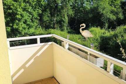 Wohnung zum Mieten in Salzgitter 320 € 52.82 m²