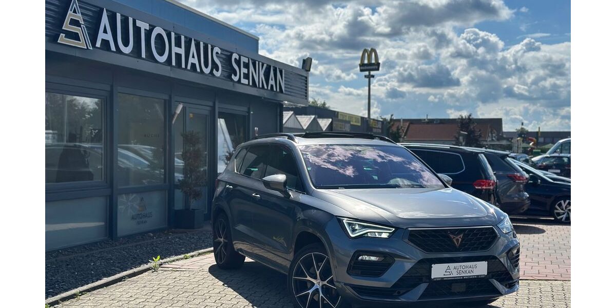 Cupra Ateca 75.900 km 28.990 &euro; Peine 31228