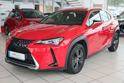 Lexus UX 95.201 km 19.999 € Wolfenbüttel 38304