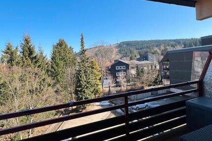 Wohnung Goslar OS Hahnenklee-Bockswiese - 1 Zimmer, 30 m&sup2;, 500&euro; | Angebot:25269751