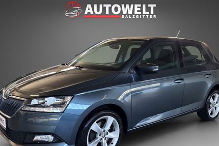 Skoda Fabia 74.000 km 11.999 € Salzgitter 38229