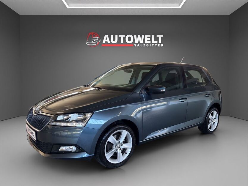 Skoda Fabia 74.000 km 11.999 € Salzgitter 38229